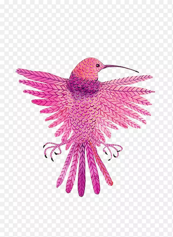蜂鸟图-粉红鸟