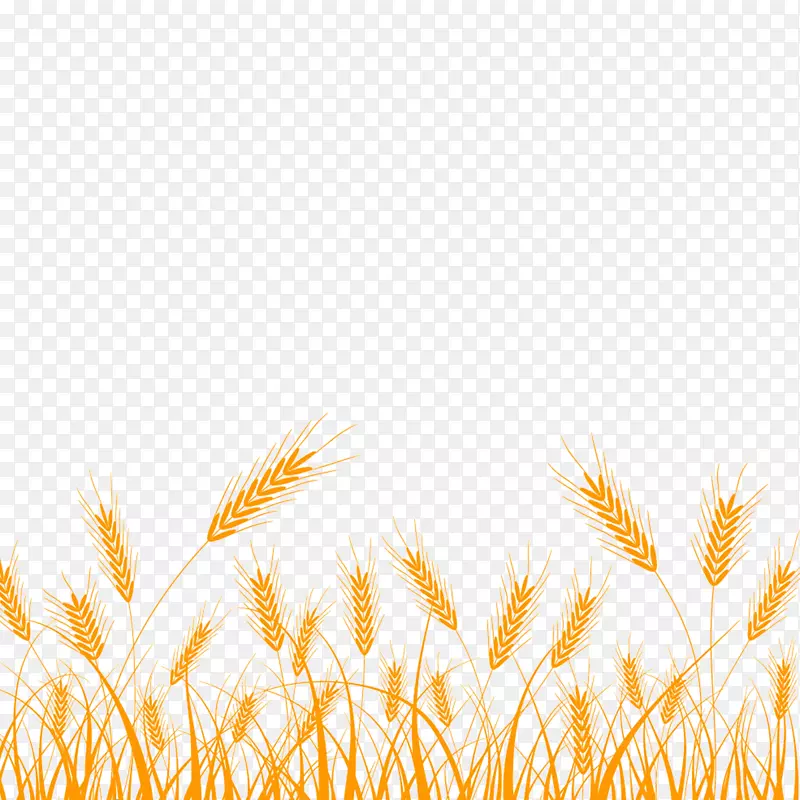 小麦剪贴画-水稻