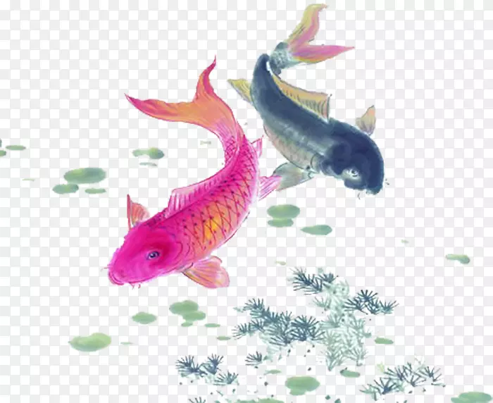锦鱼画墙纸-鸭