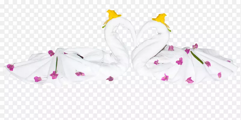 花瓣图案-水晶天鹅