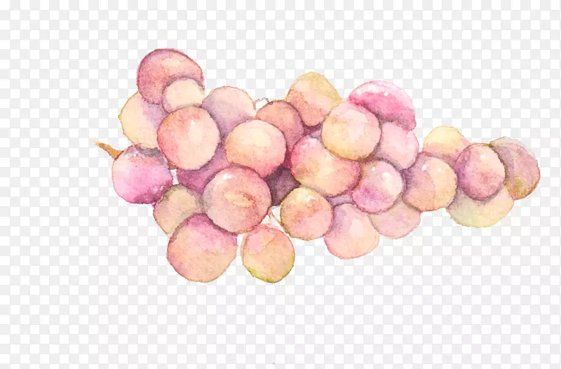 水彩画葡萄手绘水彩画葡萄