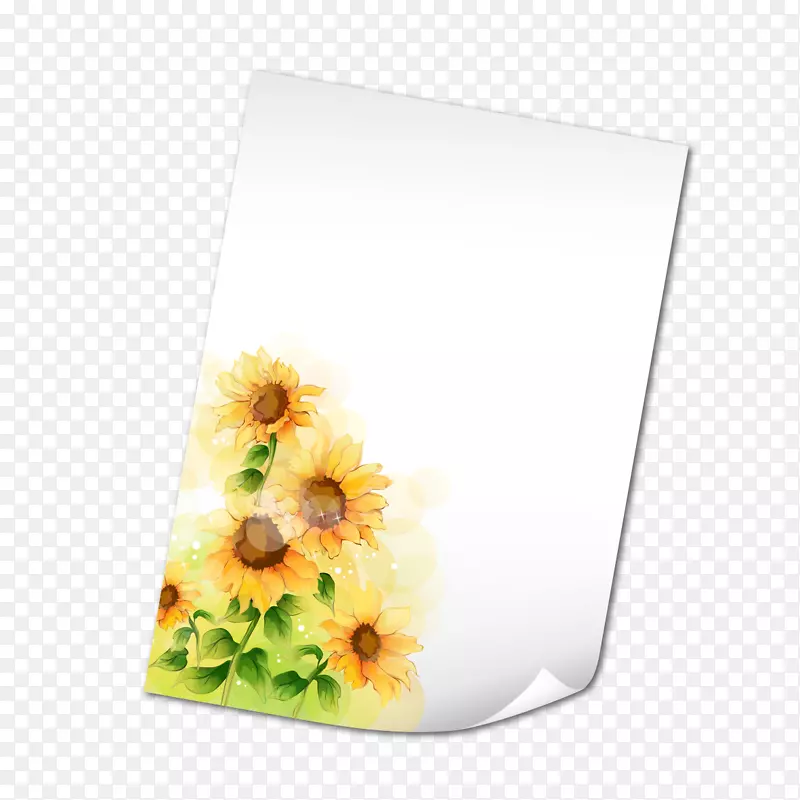 水彩画普通向日葵插图-菊花装饰文具
