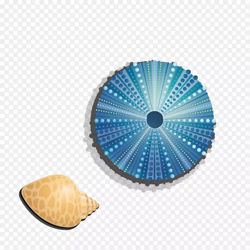 蓝色海螺壳
