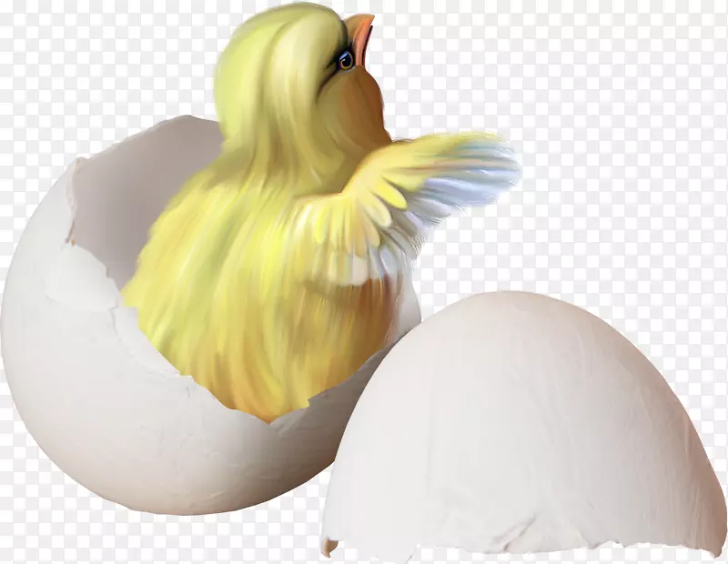 鸡复活节蛋壳夹艺术-蛋壳鸡