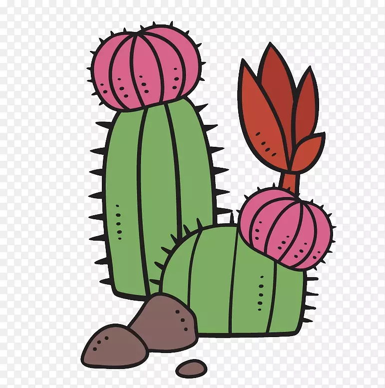 肉质植物卡通仙人掌-开花仙人掌