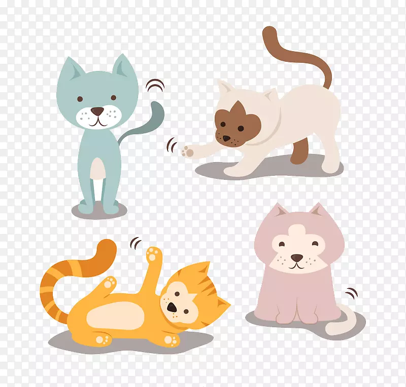 猫繁殖小猫宠物-4可爱宠物猫载体