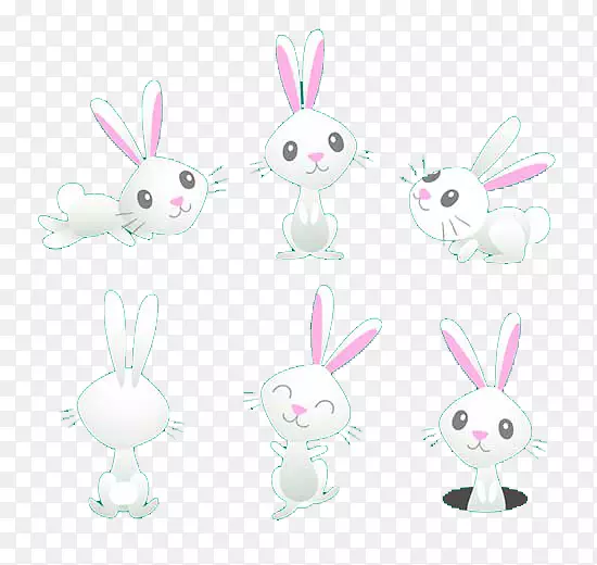 白兔-可爱的小兔子