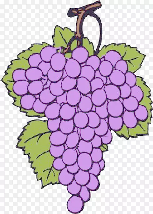 普通葡萄酒夹艺术.紫葡萄