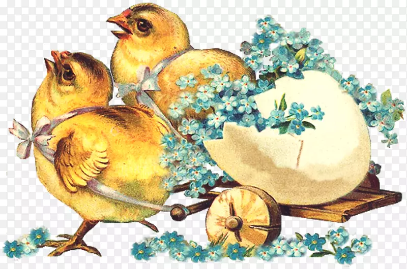 复活节彩蛋节假日剪贴簿-小鸡