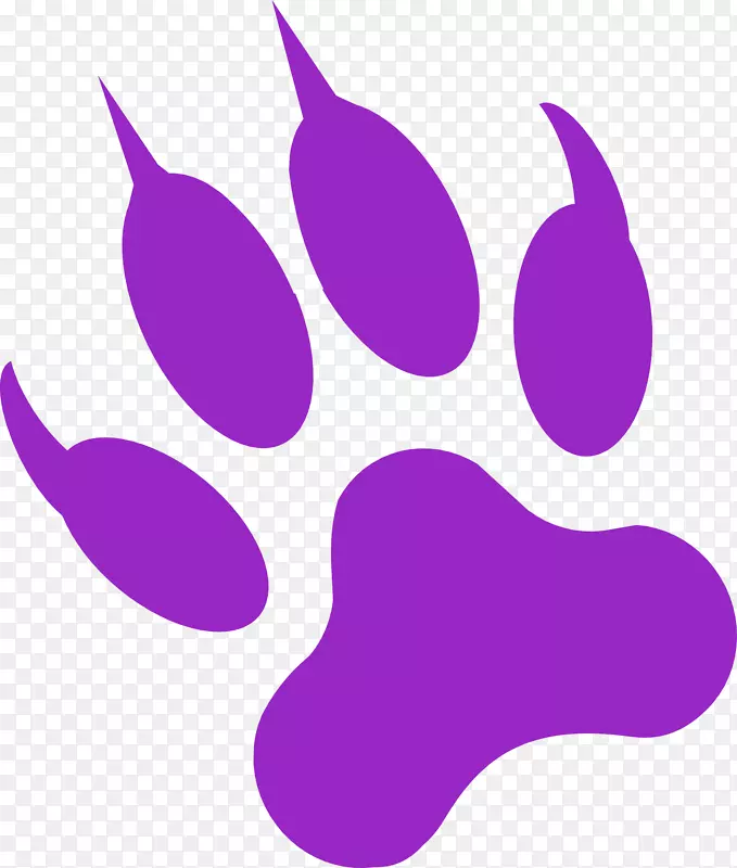 灰狼黑豹美洲狮豹爪梦紫猫
