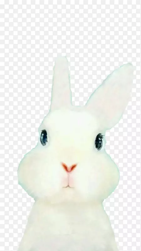 国内兔子复活节兔子刺绣-可爱的兔子