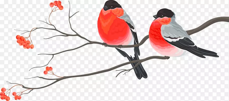 鸟婚礼请柬圣诞卡片圣诞装饰-可爱的红鸟