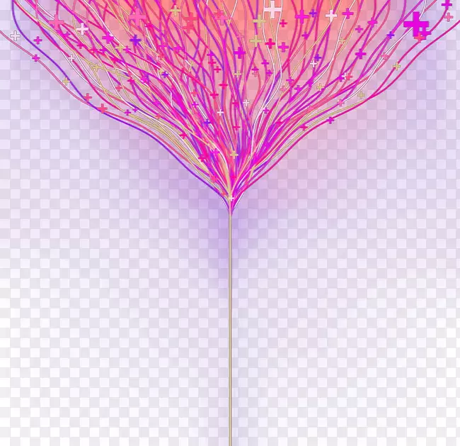 线紫色桑树-烟花