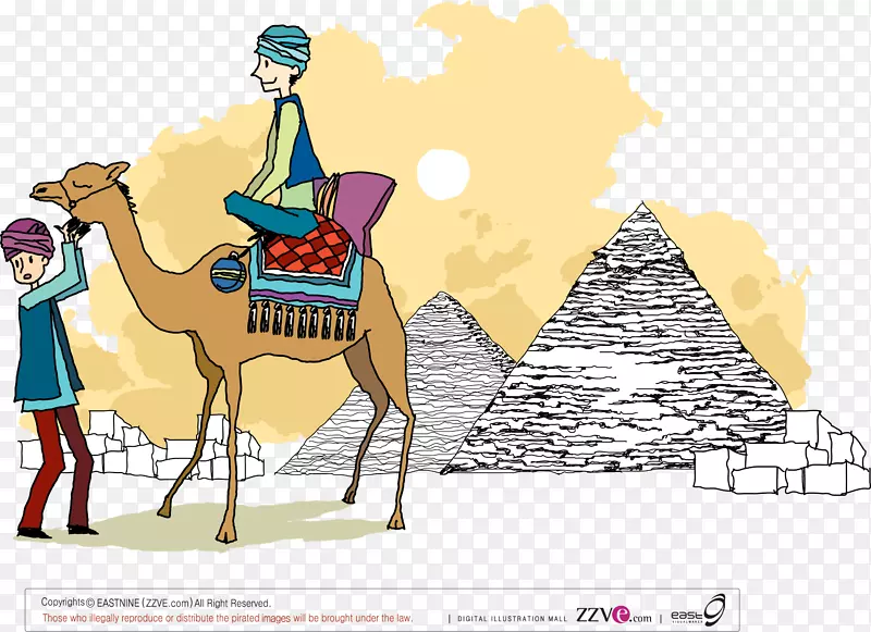 骆驼摄影插图.金字塔