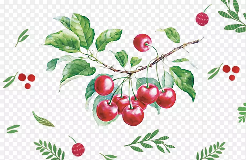 水彩画水果插图手绘樱桃