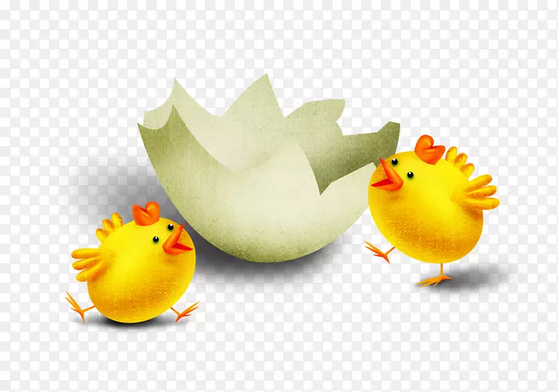 鸡夹艺术-鸡蛋壳
