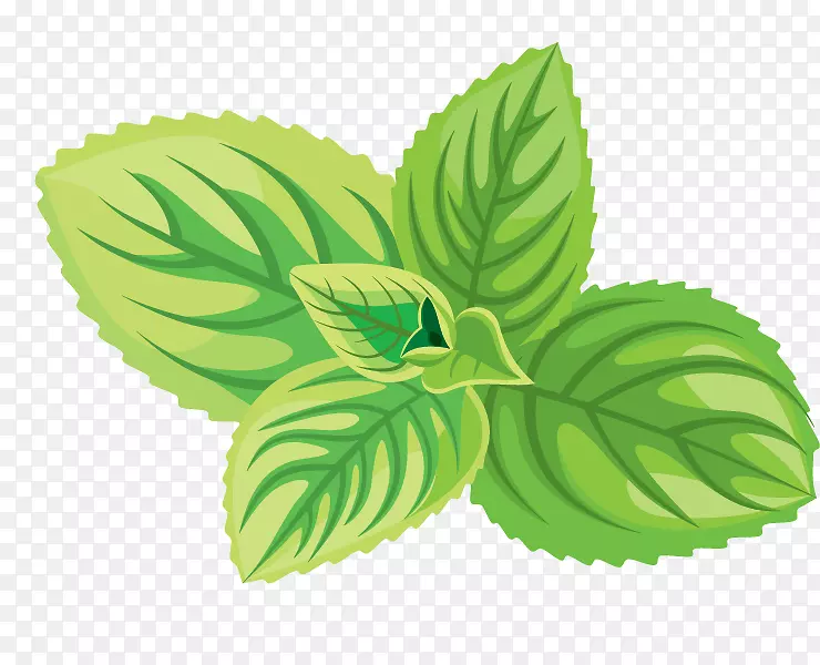 绿茶化妆品草药图标-天然草药