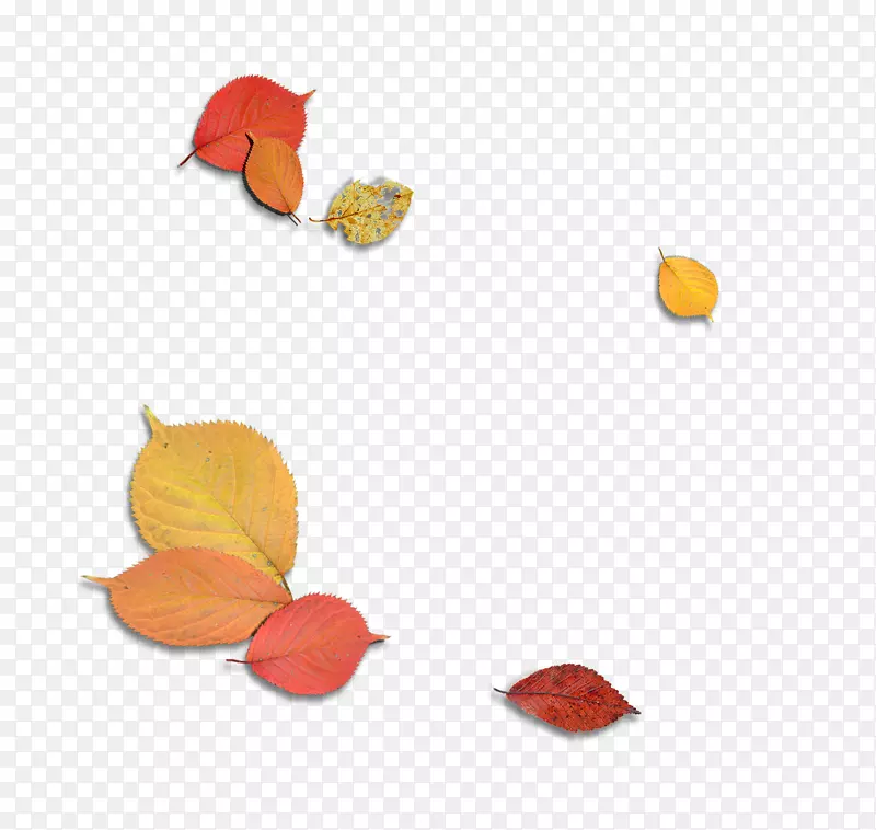 枫叶秋天-三维装饰材料落枫叶