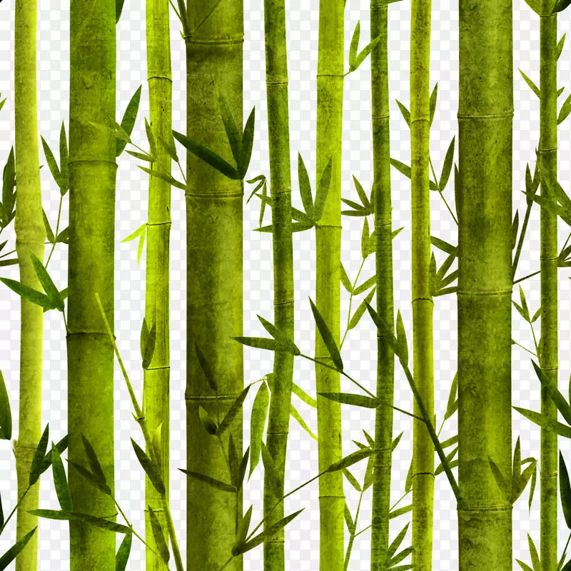 古竹海报图案设计-手绘竹子
