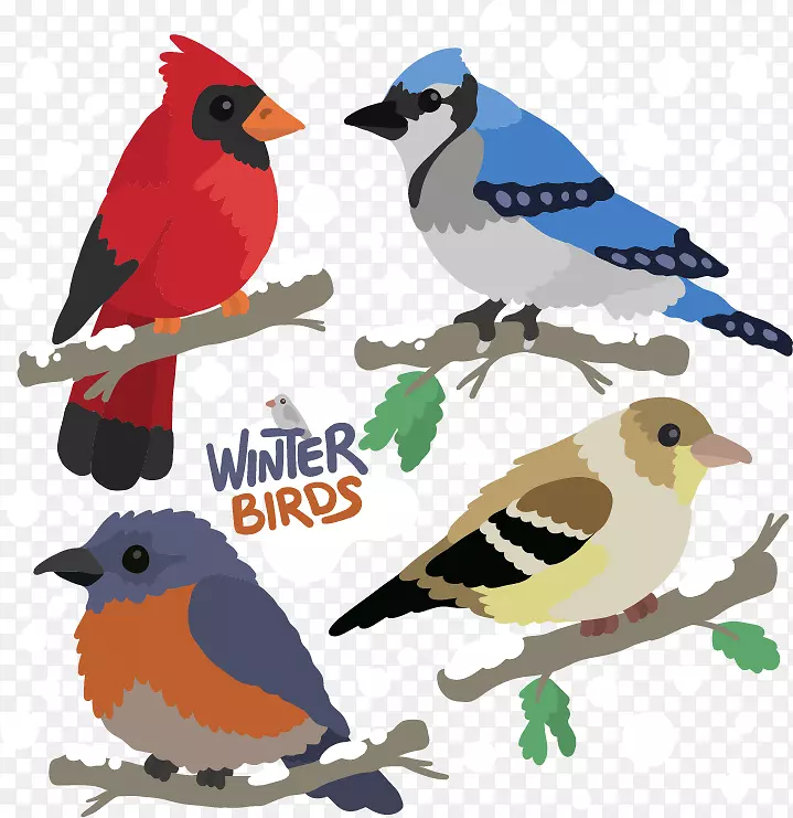 鸟羽冬-雪下树枝上的鸟