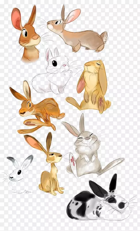 臭虫兔子罗杰兔画手绘兔集