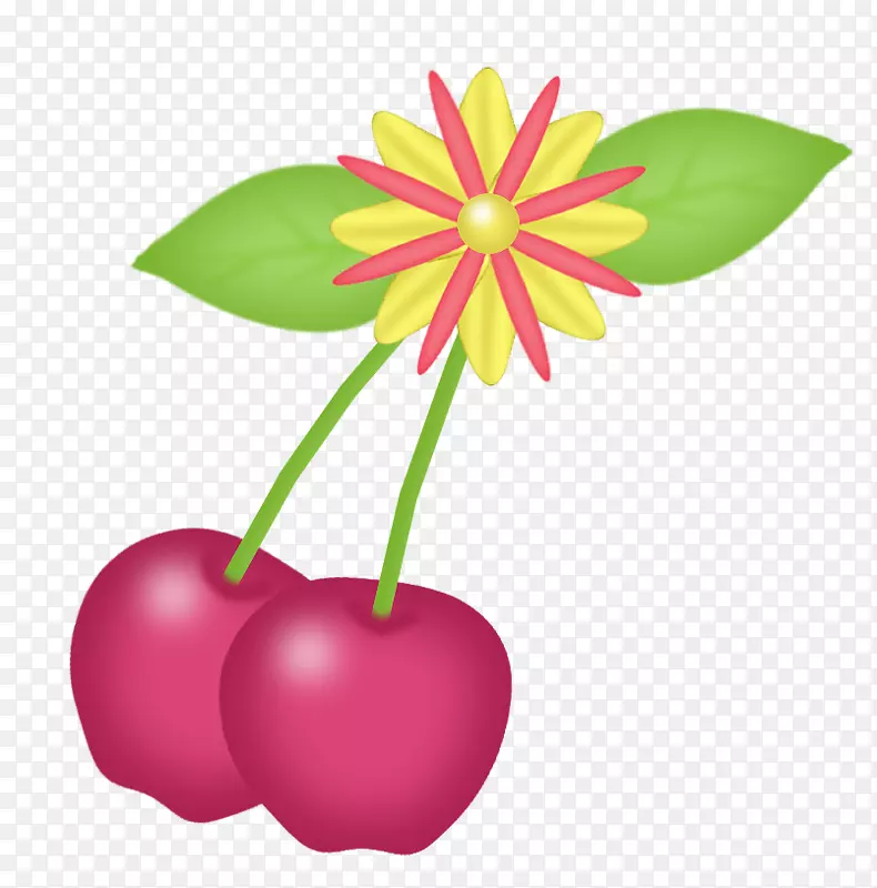 樱桃粉插图-粉红色樱桃
