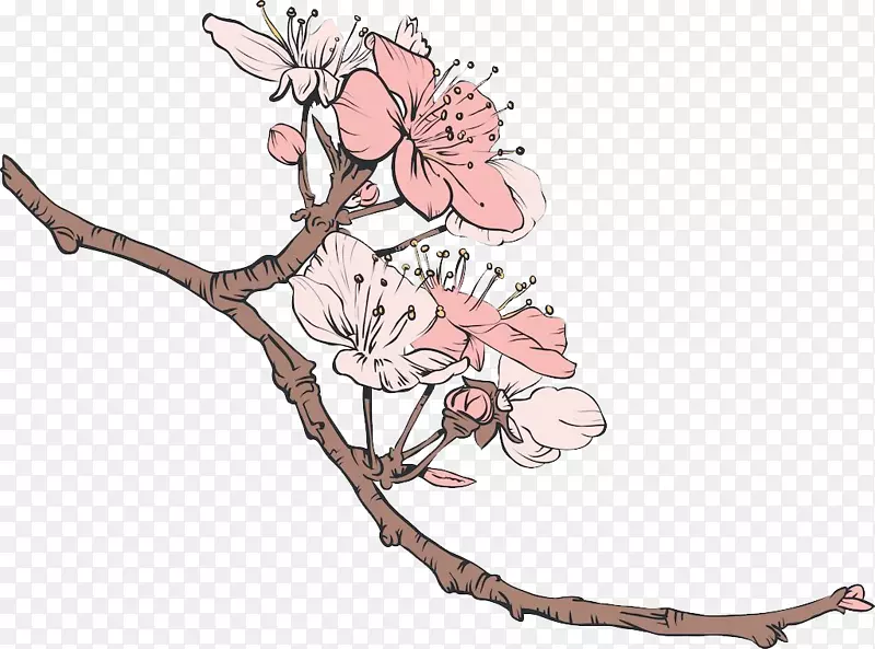 樱花插画-樱花素描插图