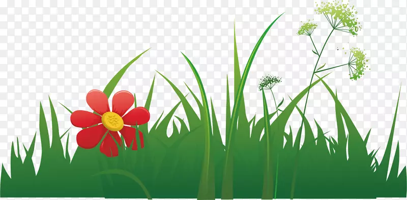 草-草本植物元素-美丽的花和草