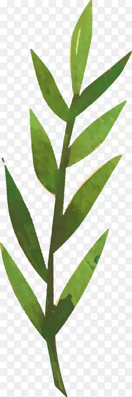 平面设计.装饰草PNG图片素材下载_图片编号446739-PNG素材网