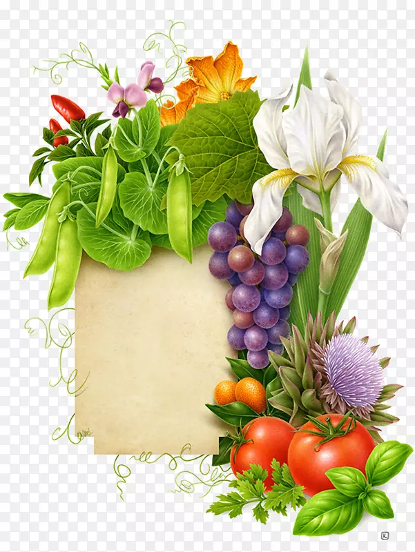 蔬菜水果-水果和蔬菜