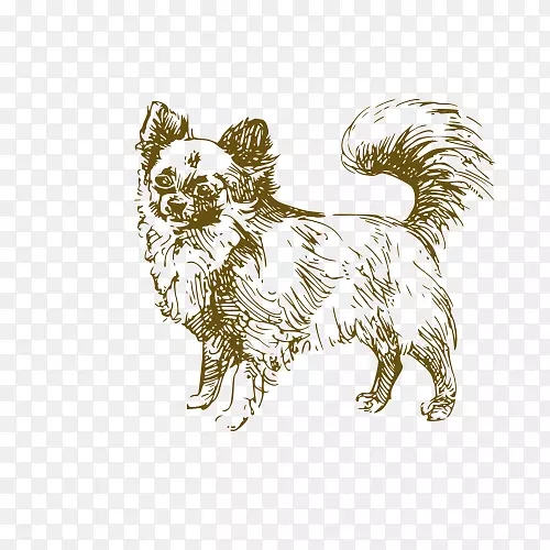 杰克罗素小狗画插图-狗