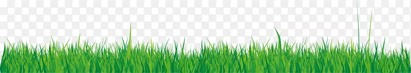 麦草绿壁纸-PNG绿草元素