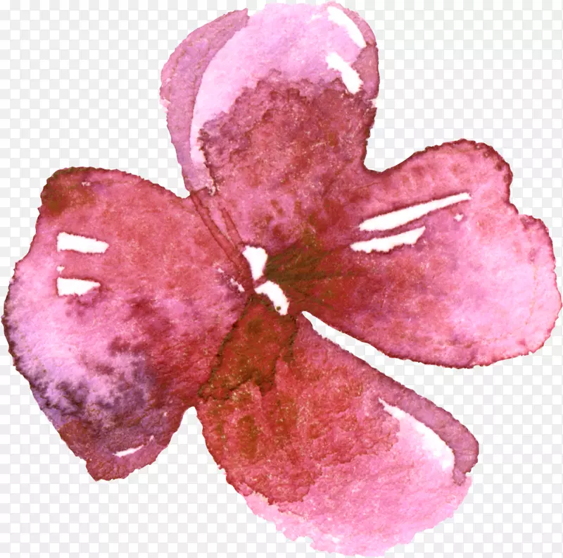 花卉水彩画插图-落叶元素透明元素