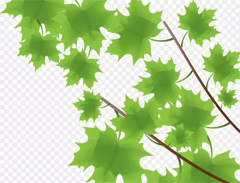 枫叶绿色-枫叶弹簧材料面板