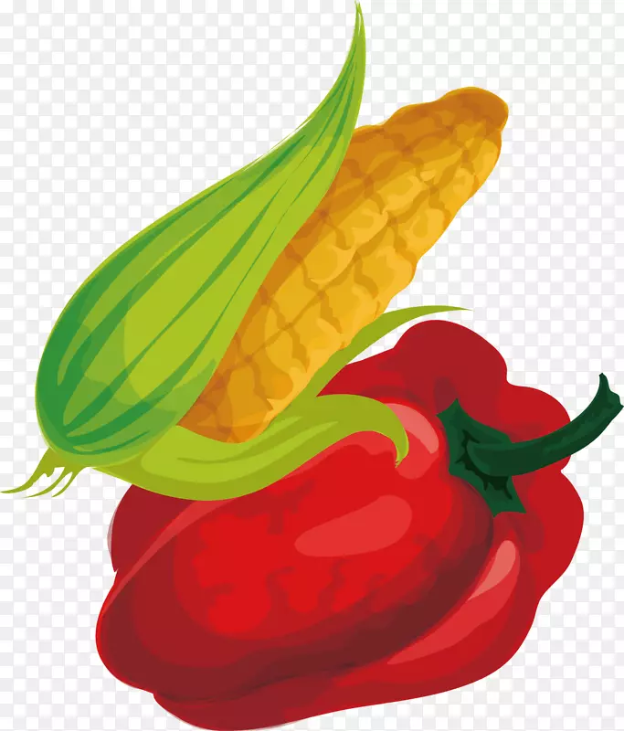 辣椒卡通玉米图-创意设计图玉米辣椒蔬菜