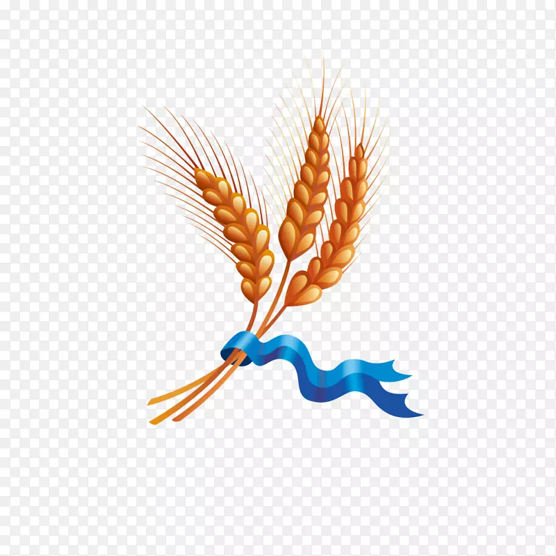 小麦穗谷-小麦