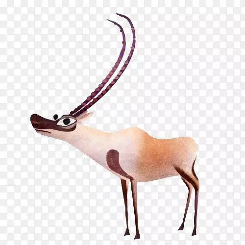 藏羚羊卡通画插图手绘角鹿