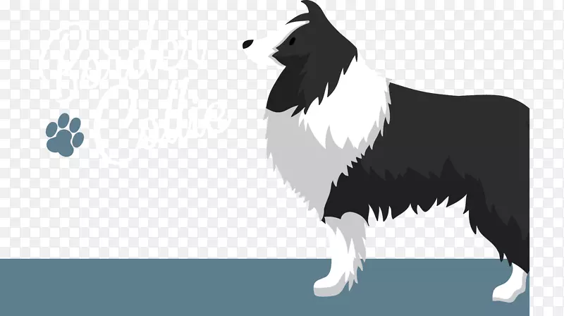 边境牧羊犬繁殖宠物动画-动物宠物狗可爱的家庭动画