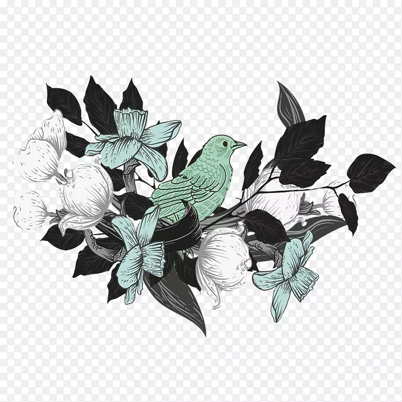 鸟白色插图-一只花中的鸟
