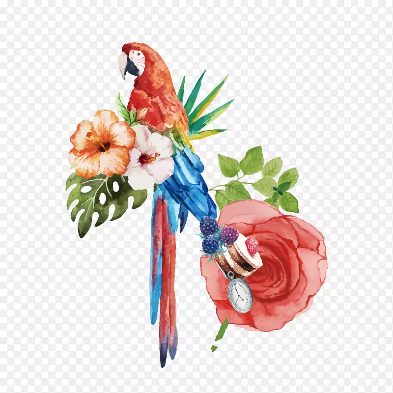 鸟鹦鹉水彩画-水彩手绘鹦鹉花装饰图案