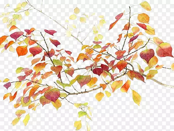 秋季图标-手绘秋元素