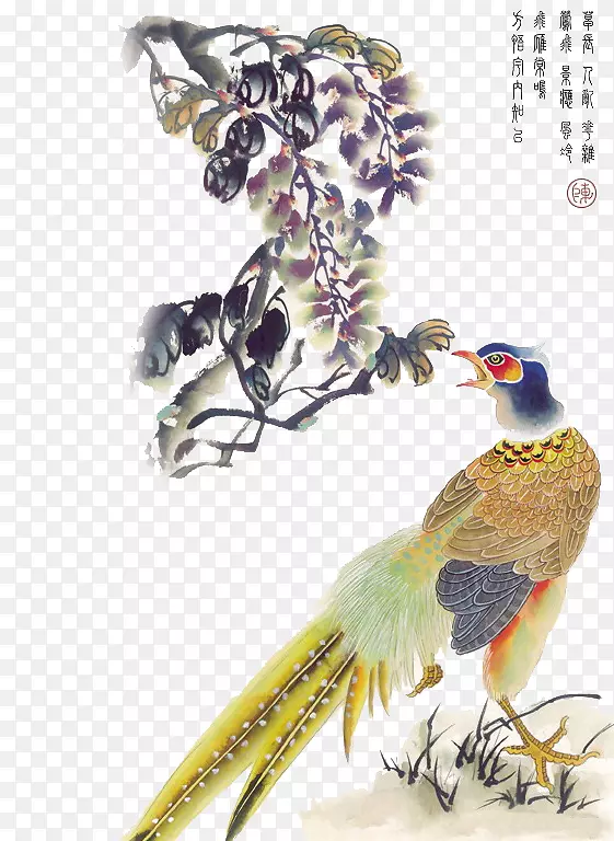拉皮图拉画壁纸-鸟