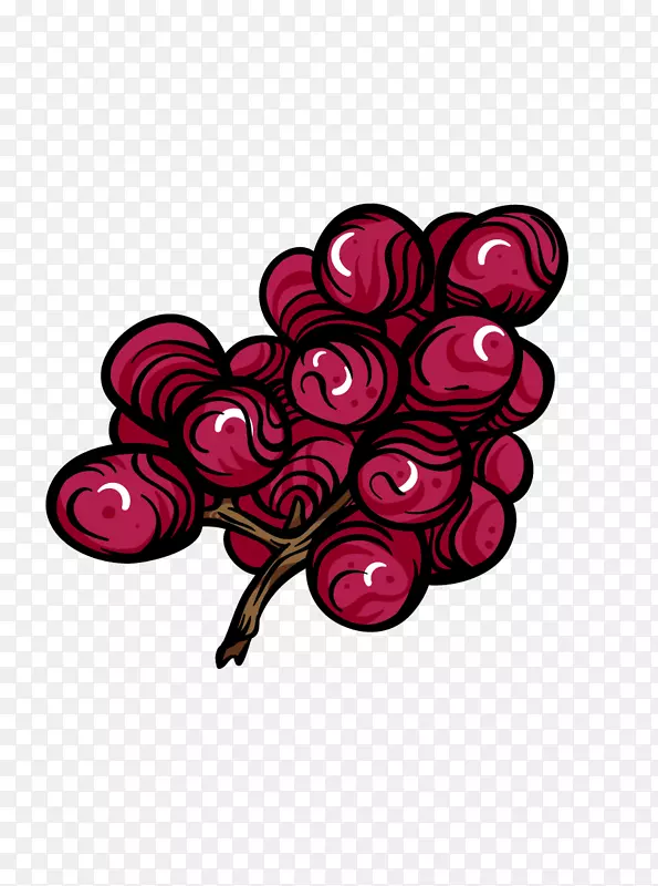 葡萄果实葡萄-葡萄品种
