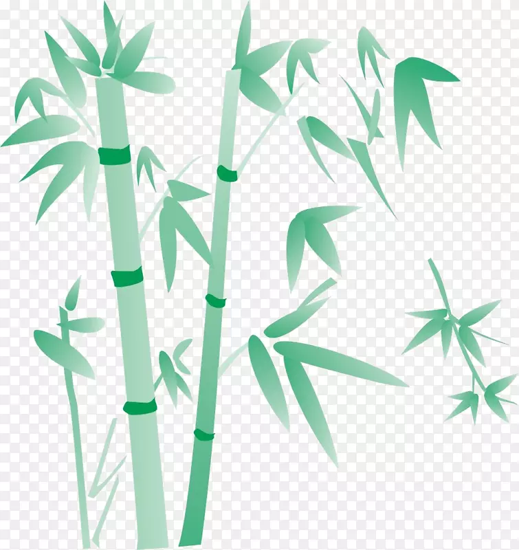竹子大熊猫绿色植物手绘竹