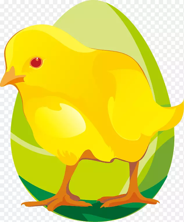 鸡纸卡通明信片夹艺术手绘鸡蛋小鸡绿色图案