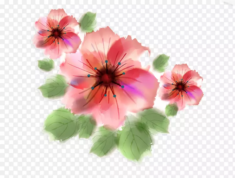 粉红花卉剪贴画.水彩画