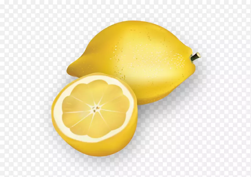 柠檬下载插图-柠檬