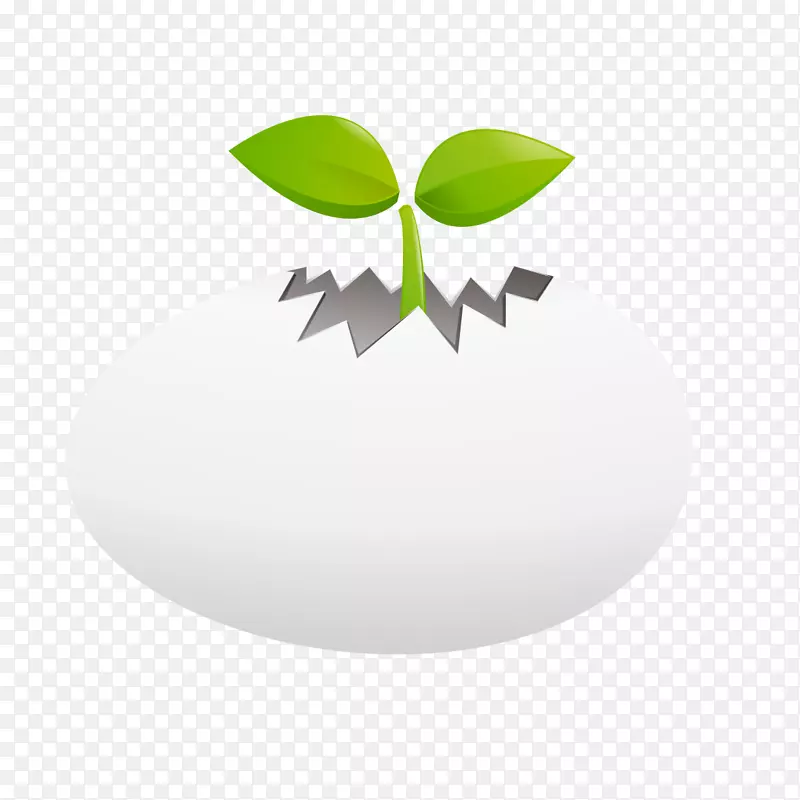 白色小木莲绿色插图-白色鸡蛋和草