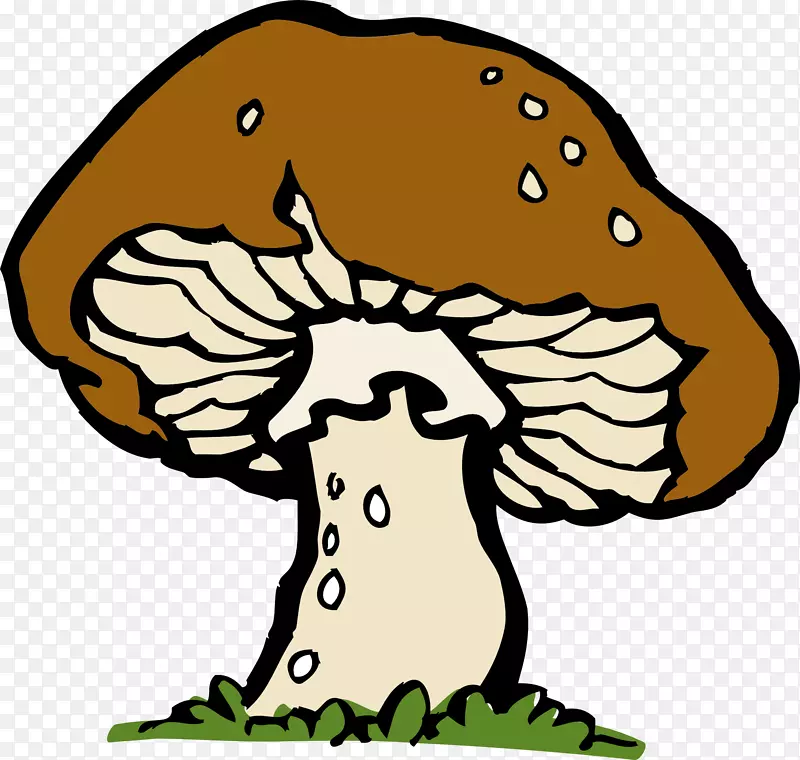 蘑菇羊肚菌免费内容剪辑艺术-野生蘑菇