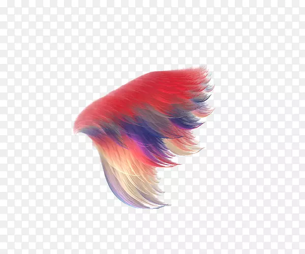 双龙霓虹灯艺术YouTube摄影-彩色羽毛翅膀创意装饰图案
